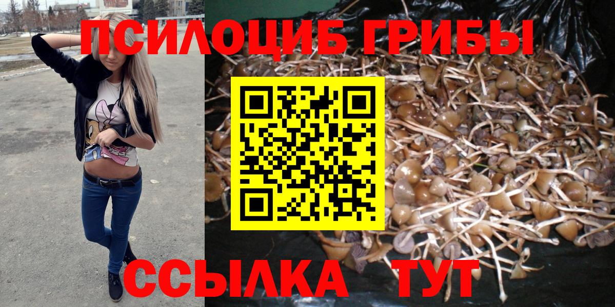 Галлюциногенные грибы Psilocybe  Псилоцибиновые грибы ЛСД  Конаково  Вход с VPN 
